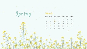 春天的油菜花（含日历）