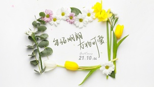 清新花草简约壁纸