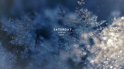 4k唯美冬季冰花