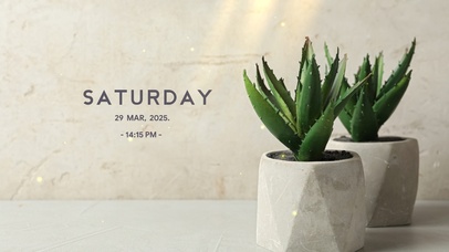 简约系ins绿植壁纸