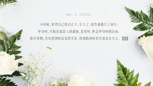 简约小清新桌面