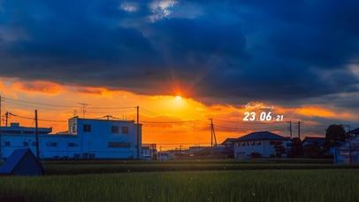 4k 唯美治愈夏日黄昏田野