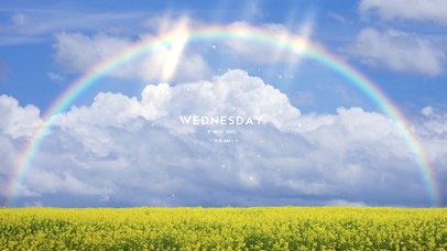 美丽的油菜花田