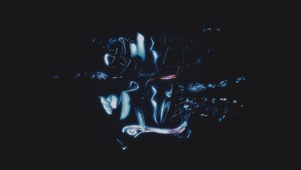 观海听涛