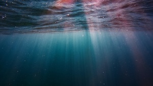 海底