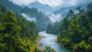 山涧河流