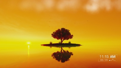 夕阳下的一棵树