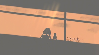 少女与猫咪光影