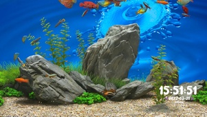 护眼水族馆