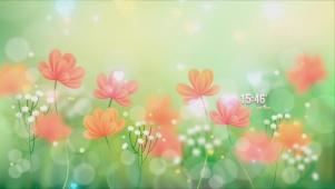唯美花朵