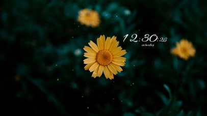 4k高清治愈冷美系列