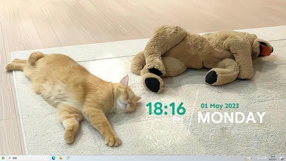 午后时光   电脑主题