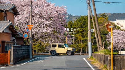 唯美治愈樱花街道（带真实时间）
