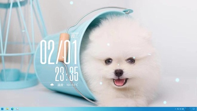 超级可爱茶杯犬