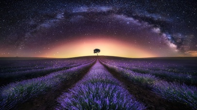 星空下的薰衣草田