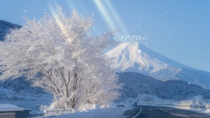 唯美富士山下雪景