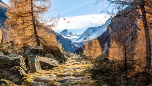 深山
