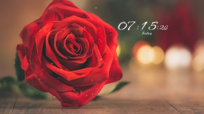 4k简约唯美玫瑰花
