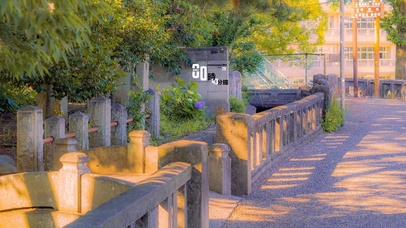 唯美治愈护眼街景