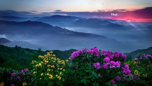 唯美高山日落红霞野花