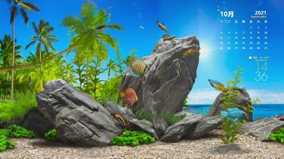 4K日历海洋水族馆