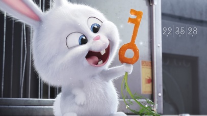 社会兔-爱宠大机密