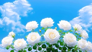 唯美护眼蓝天小花