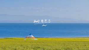 风吹着思念