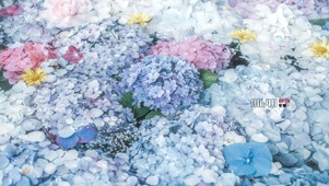 水中花