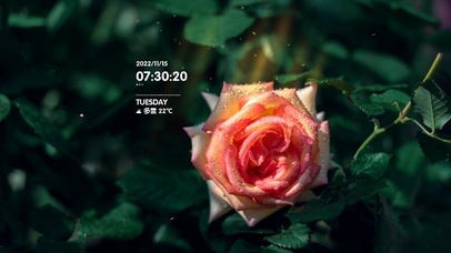 4k高清唯美花系列