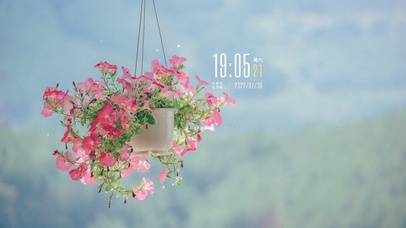 4k高清治愈小清新系列