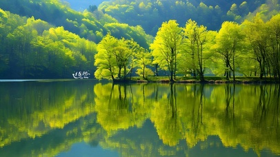 湖水荧光森林