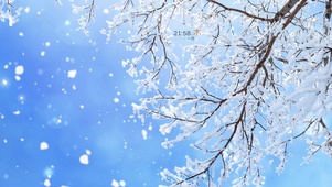 治愈树枝雪景