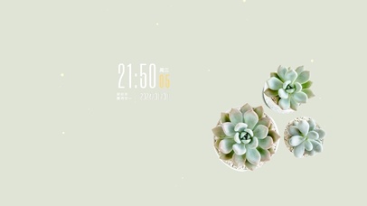 4k清新护眼多肉桌面