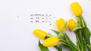4k小清新桌面
