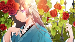 玫瑰少女