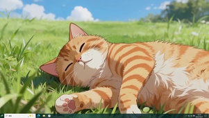 可爱调皮酣睡橘猫主题