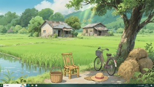 护眼  稻田