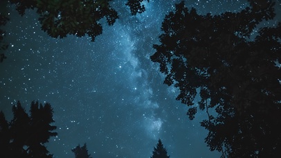 唯美夏天树林星空满天星河