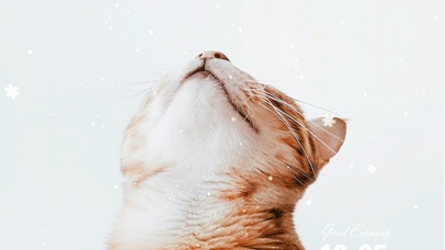 超清4K雪景猫咪