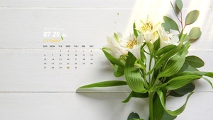 高清4k小清新电脑壁纸