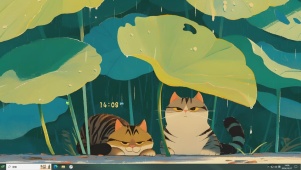 躲雨的小猫（含真实时间、主题）