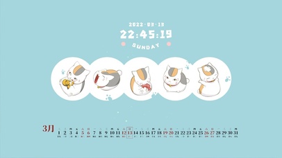 4k 可爱猫咪老师