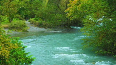 4k深林沙石溪流编辑器视频