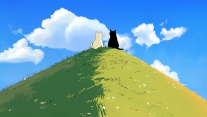 看风景