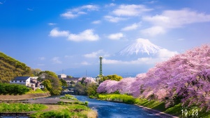治愈樱花河岸