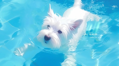 水中游泳的狗狗