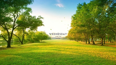 4k超清绿色公园