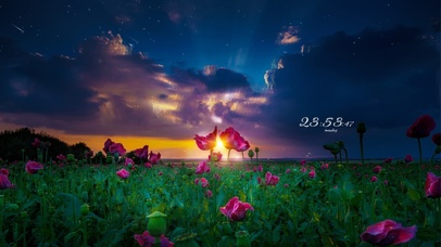 唯美日落花海星空