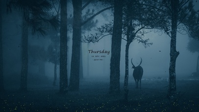 林深见鹿（含真实时间）